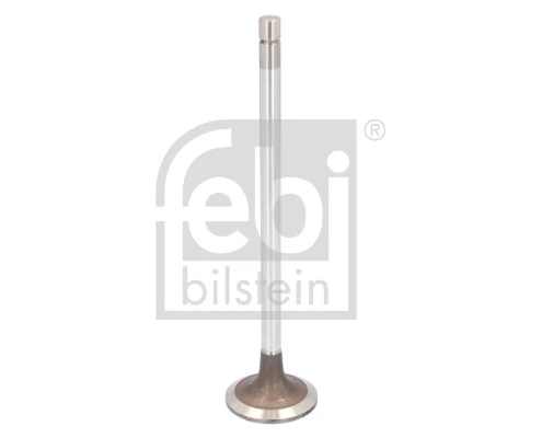 Intake Valve